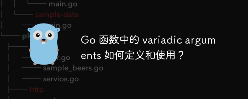 Go 函数中的 variadic arguments 如何定义和使用?