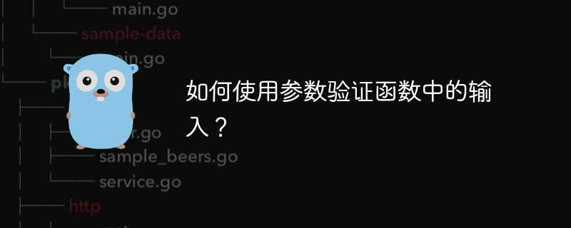 如何使用参数验证函数中的输入?