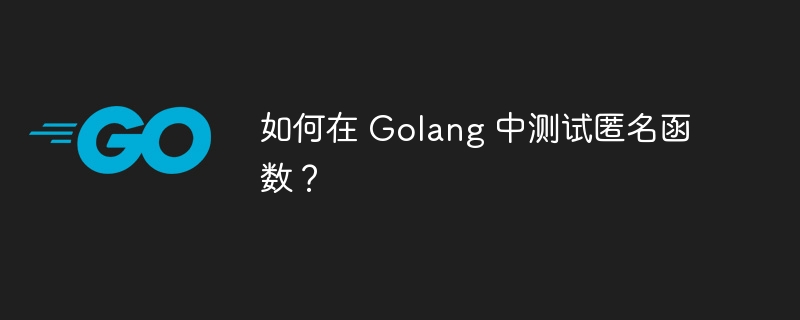 如何在 Golang 中测试匿名函数?