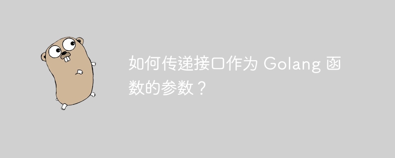 如何传递接口作为 Golang 函数的参数?