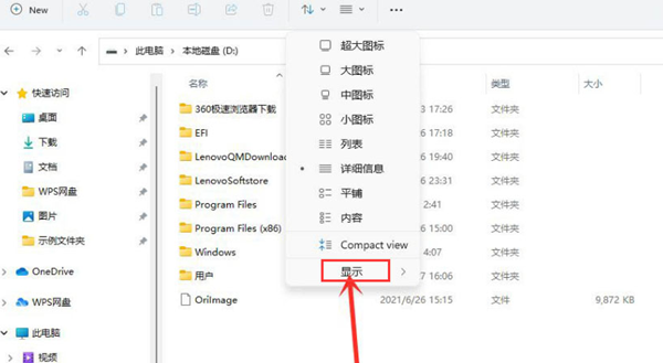 Win11怎么查看隐藏项目 Win11查看隐藏项目的方法