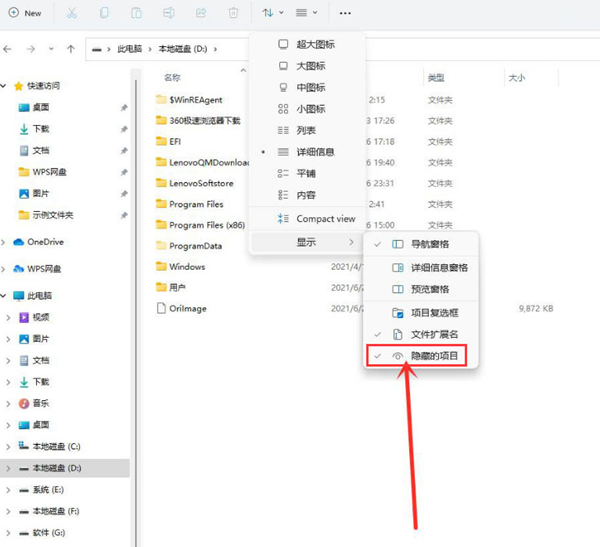 Win11怎么查看隐藏项目 Win11查看隐藏项目的方法