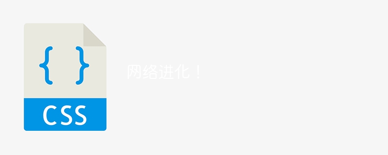 网络进化!
