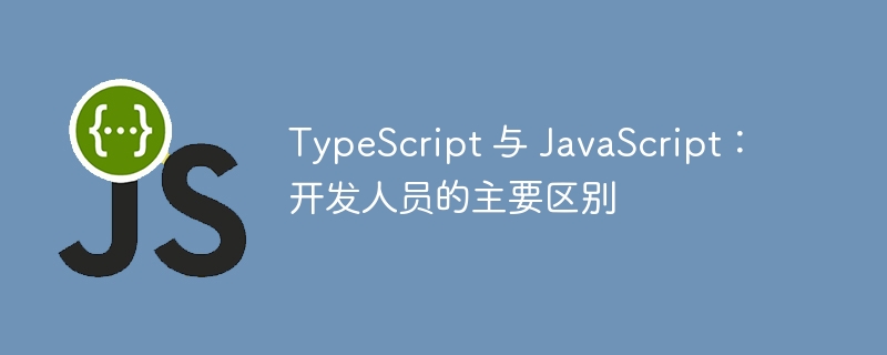 TypeScript 与 JavaScript:开发人员的主要区别