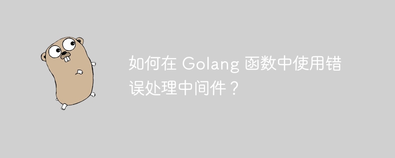如何在 Golang 函数中使用错误处理中间件?