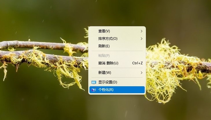 Win11托盘图标不显示怎么解决 Win11托盘图标不显示的解决方法