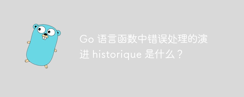 Go 语言函数中错误处理的演进 historique 是什么?