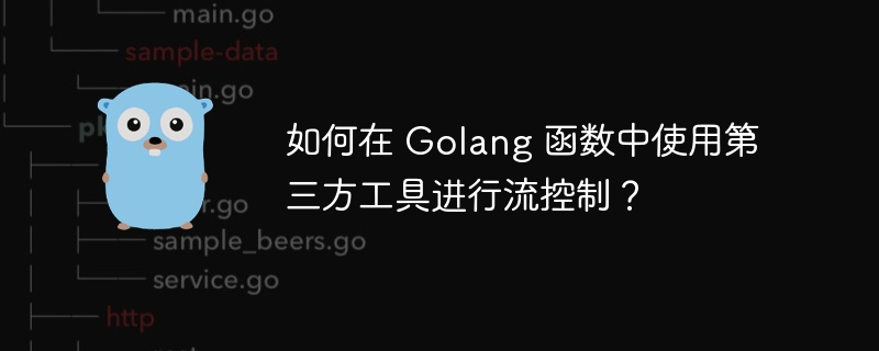 如何在 Golang 函数中使用第三方工具进行流控制?