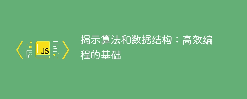 揭示算法和数据结构:高效编程的基础