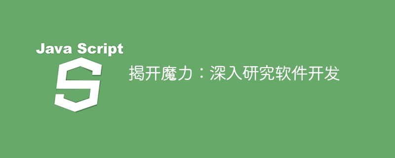 揭开魔力:深入研究软件开发