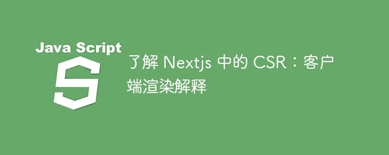 了解 Nextjs 中的 CSR:客户端渲染解释