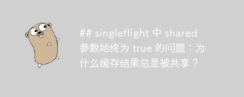 ## singleflight 中 shared 参数始终为 true 的问题:为什么缓存结果总是被共享?