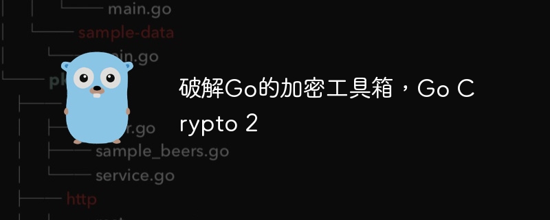破解Go的加密工具箱,Go Crypto 2