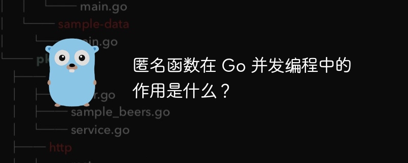 匿名函数在 Go 并发编程中的作用是什么?
