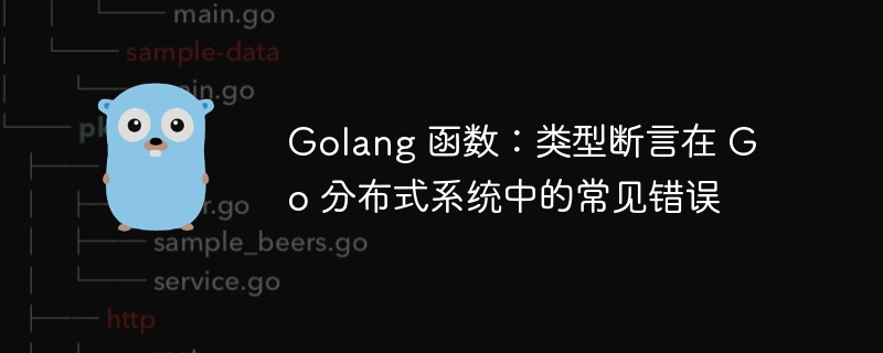 Golang 函数:类型断言在 Go 分布式系统中的常见错误