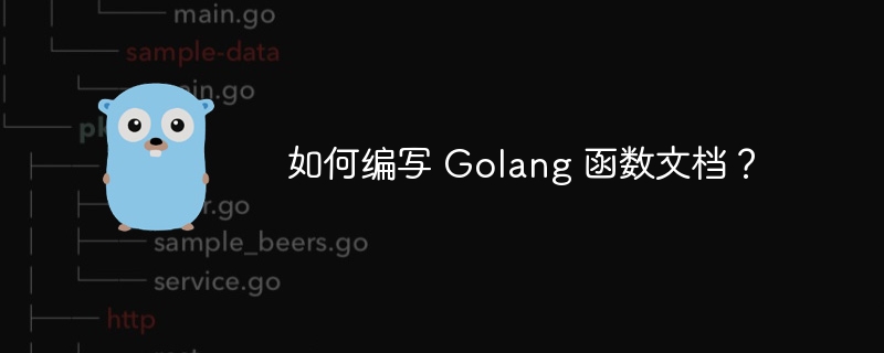 如何编写 Golang 函数文档?