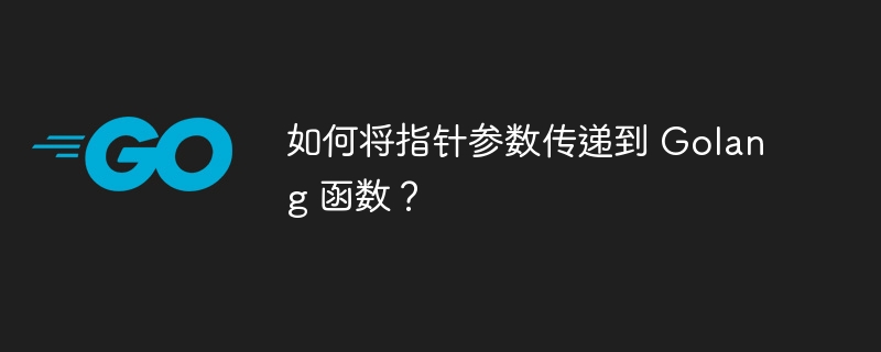 如何将指针参数传递到 Golang 函数?