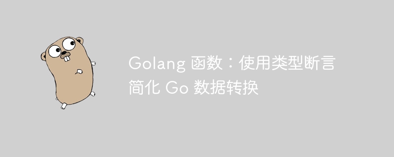 Golang 函数:使用类型断言简化 Go 数据转换