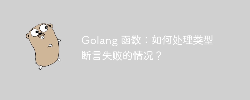 Golang 函数:如何处理类型断言失败的情况?