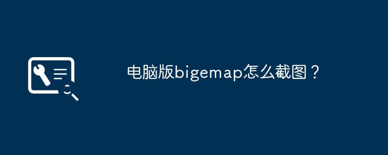 电脑版bigemap怎么截图?