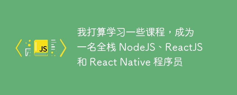 我打算学习一些课程,成为一名全栈 NodeJS、ReactJS 和 React Native 程序员
