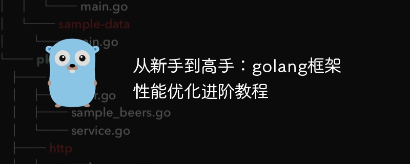 从新手到高手:golang框架性能优化进阶教程