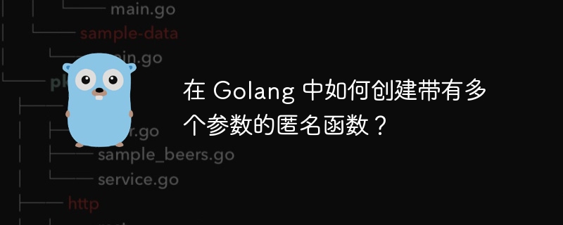 在 Golang 中如何创建带有多个参数的匿名函数?