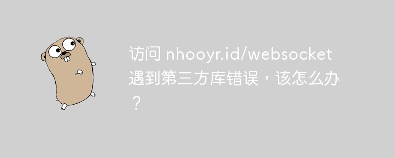 访问 nhooyr.id/websocket 遇到第三方库错误,该怎么办?