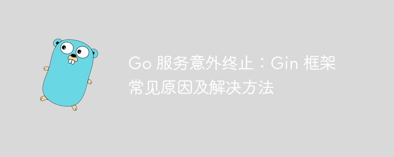 Go 服务意外终止:Gin 框架常见原因及解决方法