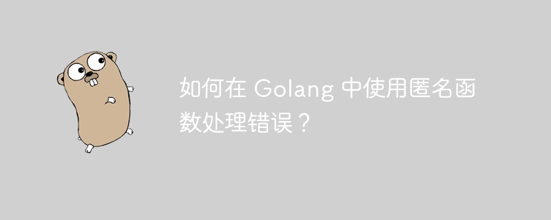 如何在 Golang 中使用匿名函数处理错误?