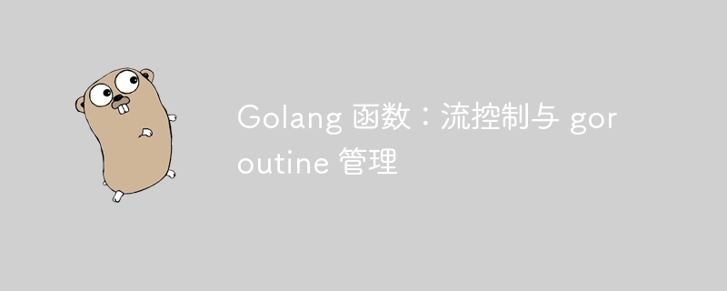 Golang 函数:流控制与 goroutine 管理