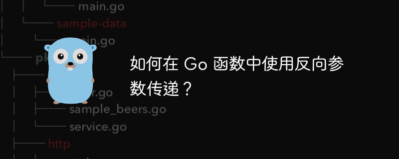 如何在 Go 函数中使用反向参数传递?