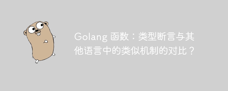 Golang 函数:类型断言与其他语言中的类似机制的对比?