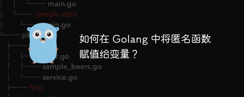 如何在 Golang 中将匿名函数赋值给变量?