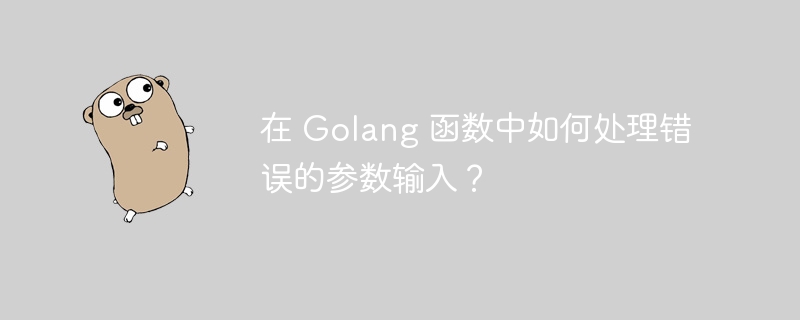 在 Golang 函数中如何处理错误的参数输入?