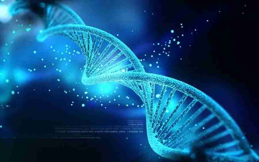 中国科学院团队发布GeneCompass:解析基因调控密码,打造干湿融合新范式