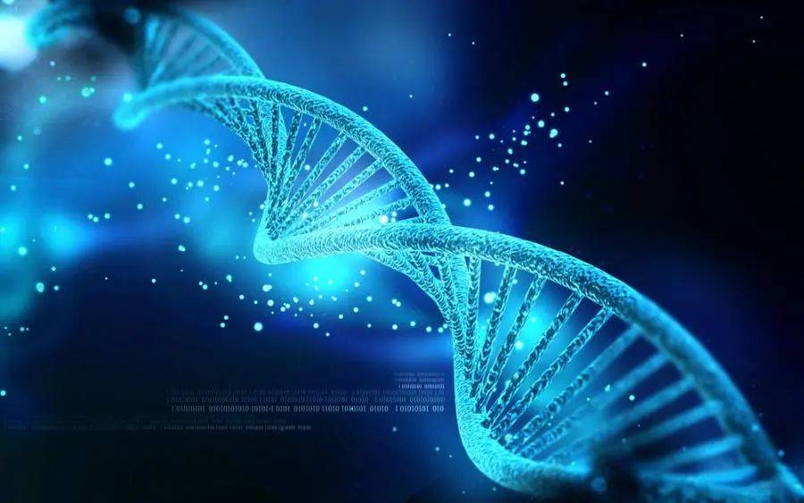 中国科学院团队发布GeneCompass:解析基因调控密码,打造干湿融合新范式