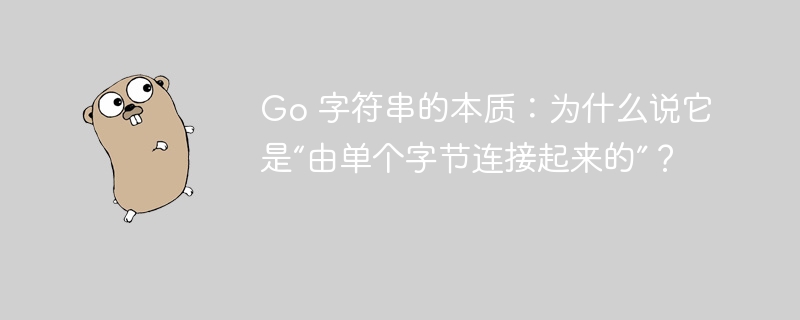 Go 字符串的本质：为什么说它是“由单个字节连接起来的”？