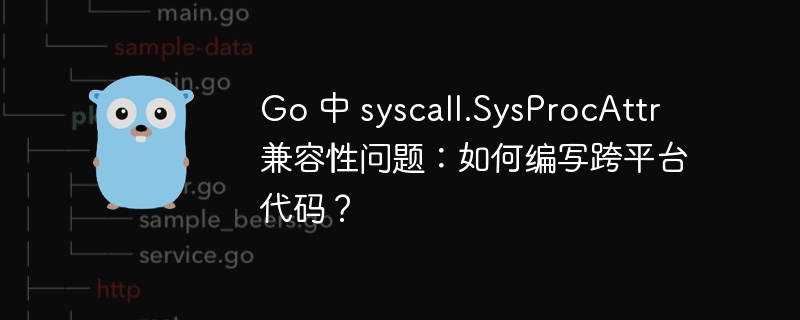 Go 中 syscall.SysProcAttr 兼容性问题:如何编写跨平台代码?