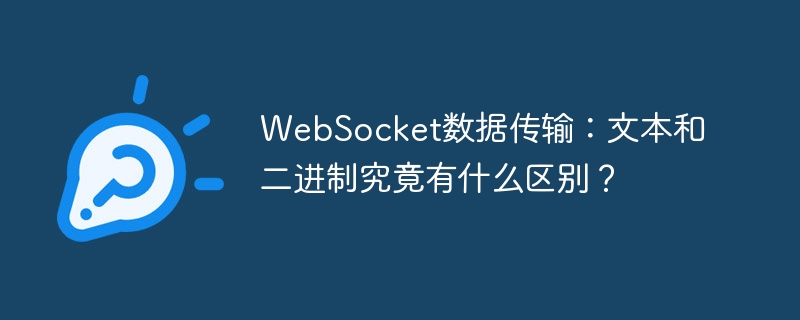 WebSocket数据传输:文本和二进制究竟有什么区别?