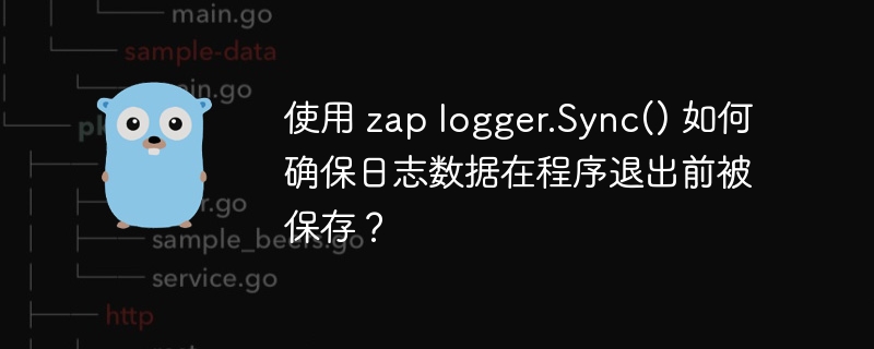 使用 zap logger.Sync() 如何确保日志数据在程序退出前被保存?