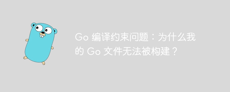 Go 编译约束问题:为什么我的 Go 文件无法被构建?