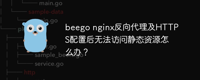 beego nginx反向代理及HTTPS配置后无法访问静态资源怎么办?