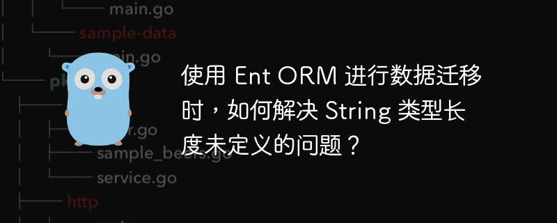 使用 Ent ORM 进行数据迁移时,如何解决 String 类型长度未定义的问题?