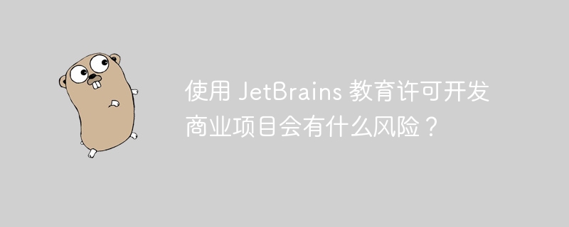 使用 JetBrains 教育许可开发商业项目会有什么风险?