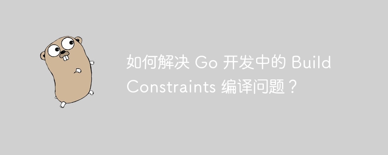 如何解决 Go 开发中的 Build Constraints 编译问题?
