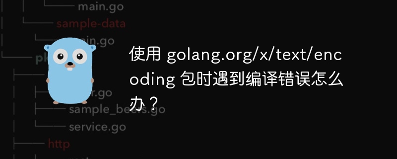 使用 golang.org/x/text/encoding 包时遇到编译错误怎么办?