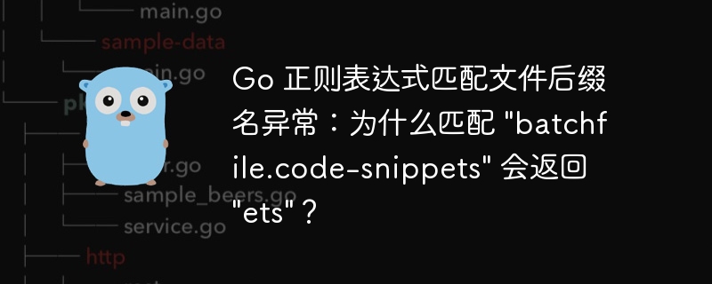 Go 正则表达式匹配文件后缀名异常:为什么匹配 \