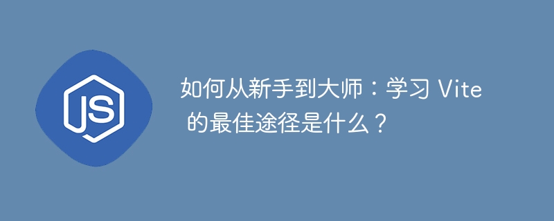 如何从新手到大师:学习 Vite 的最佳途径是什么?