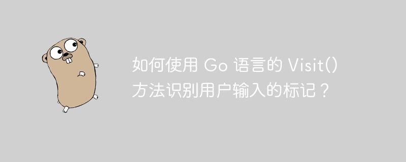 如何使用 Go 语言的 Visit() 方法识别用户输入的标记?